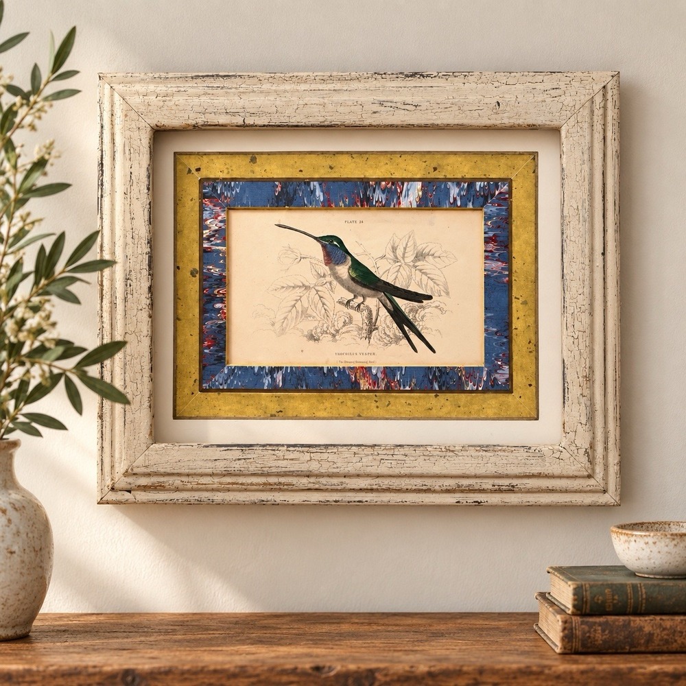 Trochilus Vesper Hummingbird Plate 24 Sir William Jardine Wood Framed Print